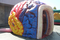 Opblaasbaar Megabrain model organs exhibition giant Menselijk Groot Brain Tent