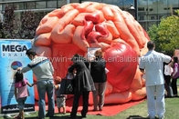 Opblaasbare Brain Model Tent Inflatable Medical-Conferentiestentoonstellingen - Megahersenen