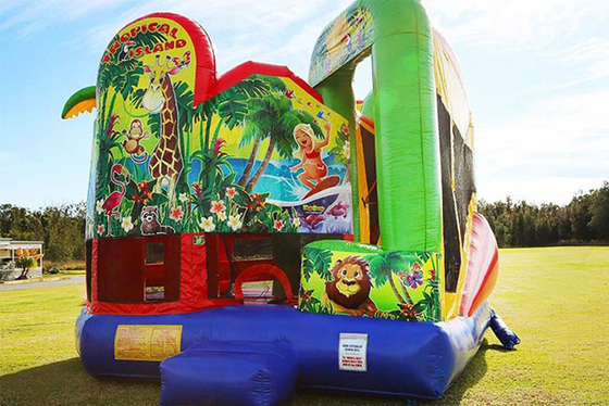 Het opblaasbare Juming-Kasteel van de Huur Opblaasbare Bouncy van Kasteelcombo Openlucht met Dia
