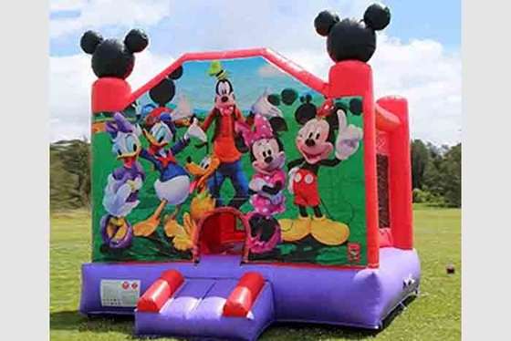Commerciële Volwassen Springkastelen Outdoor Party Indoor Verkoop Kind Opblaasbaar Springkasteel