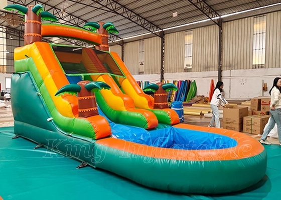 Van het Waterdia's van de jonge geitjes de Openluchtyard Dia van het de Wildernissen Opblaasbare Water Tropische met Pool