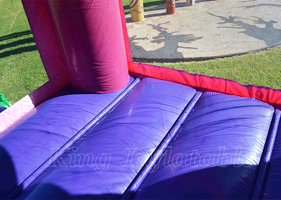 Disney-van de partijenjuming van Prinsesinflatable bouncing castle openlucht de Spronghuis voor meisjes