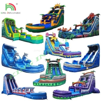 Fabrieksaanpassing Commerciële opblaasbare waterslide voor volwassenen en kinderen