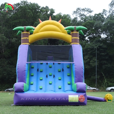 Dubbele lijn opblaasbare waterslide combo met zwembad obstakel om te klimmen opblaasbare zwembad glijbanen
