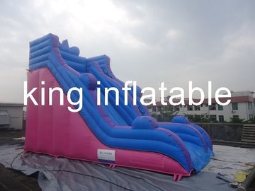 Openlucht Duurzame Opblaasbare Droge Dia met Eenvoudig maar Algemeen voor Pretpark