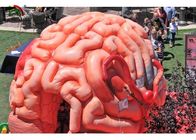 De reuze 4m Opblaasbare Kunstmatige Organen van de Hersenenreplica voor Onderwijssgs EN71