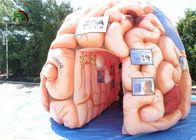De reuze 4m Opblaasbare Kunstmatige Organen van de Hersenenreplica voor Onderwijssgs EN71