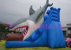EN14960 opblaasbare Droge Dia voor Jonge geitjes, de Blauwe Dubbele Dia van de Steek Opblaasbare Haai