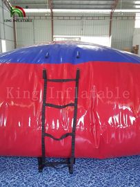 Hitte - het verzegelen Kleurrijke Slag - omhoog Waterhoofdkussen/het Waterstuk speelgoed van pvc van de Torenvlek voor Waterpark
