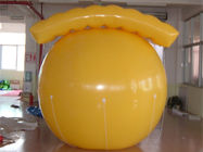 De Prijs van de hete Luchtballon/Aangepaste Opblaasbare Reclameballons/Heliumballon