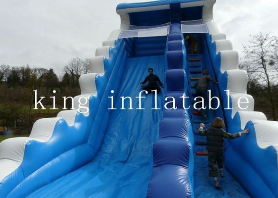 Geteerd zeildoek 0.55mm van pvc van jonge geitjesvolwassenen Opblaasbare Waterdia met Custmized-Grootte