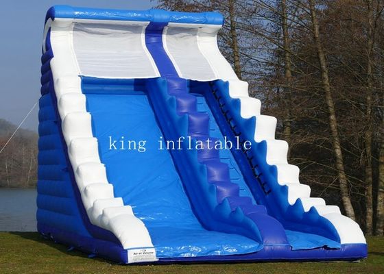 Geteerd zeildoek 0.55mm van pvc van jonge geitjesvolwassenen Opblaasbare Waterdia met Custmized-Grootte