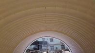 0.55mm PCV van de LEIDENE de Gebeurtenishandel tent toont de Draagbare 10*6m Opblaasbare partij Tent voor Huwelijk