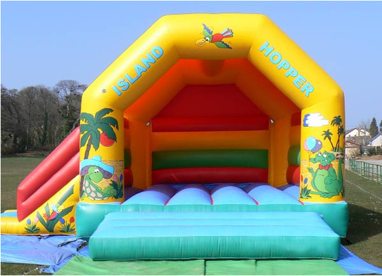 Kleurrijk Bouncy-Kasteelhuis 22ft X 19ft voor Verjaardagspartij