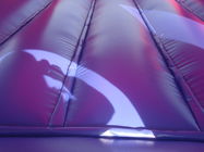 Ontzagwekkend Commercieel Spiderman-het Springen Kasteel 0.55mm pvc-Geteerd zeildoek