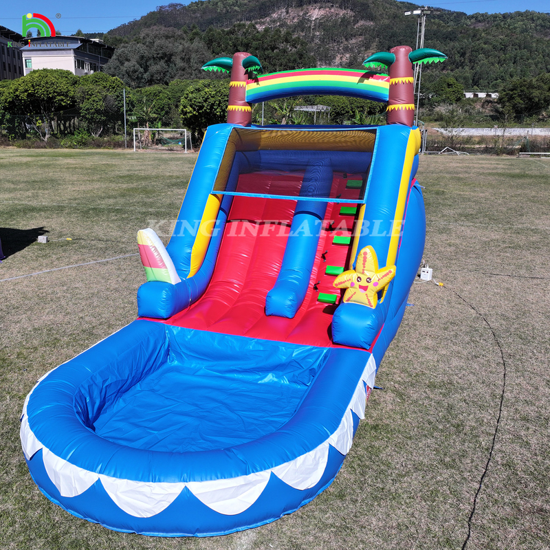 Waterslide Commerciële PVC opblaasbare waterslide voor kinderen opblaasbare glijbaan met zwembad natte droge glijbaan volwassen
